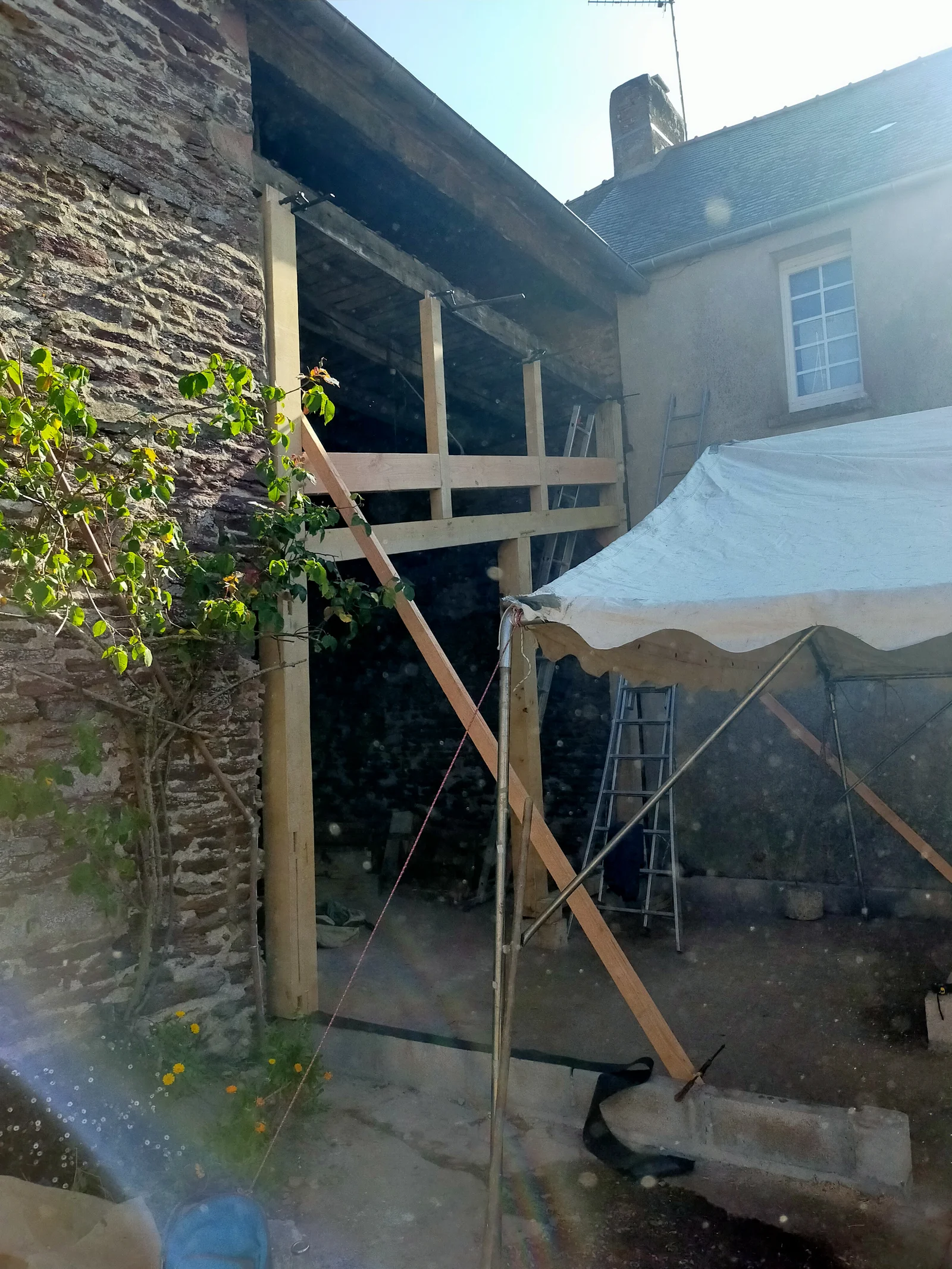 Charpente pour extension en pan de bois, terre et paille, à Concoret, vue 5